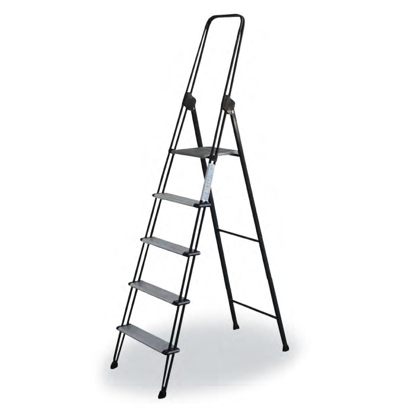 C3 double ladder